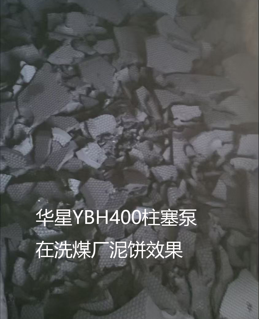 YBH400洗煤厂泥饼效果