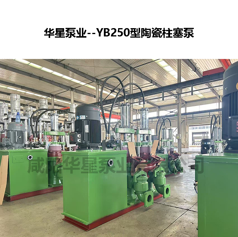 YB250节能型陶瓷柱塞泵-02