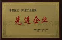 秦都区2010年度工业发展先进企业