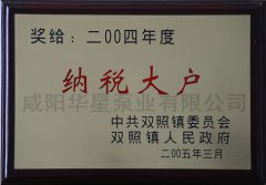 2004年度纳税大户